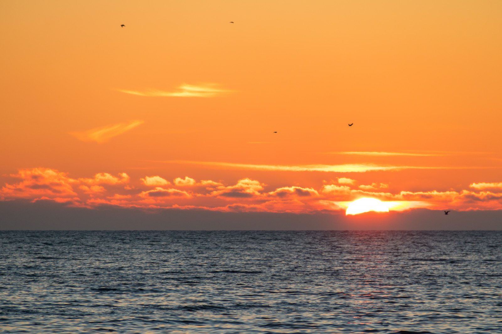 Sonnenuntergang, Meer, Ufer, Himmel, Winter, Strand, Sonnenaufgang, Abend, Morgen, Küste, Sonne, Horizont, Dämmerung, Wolke, Dämmerung, Ozean, Welle, Solnedg ng, Vinter, Hav, Trelleborg, Kust, V strasm b tshamnen, Nachglühen, Windwelle, Roter himmel am morgen
