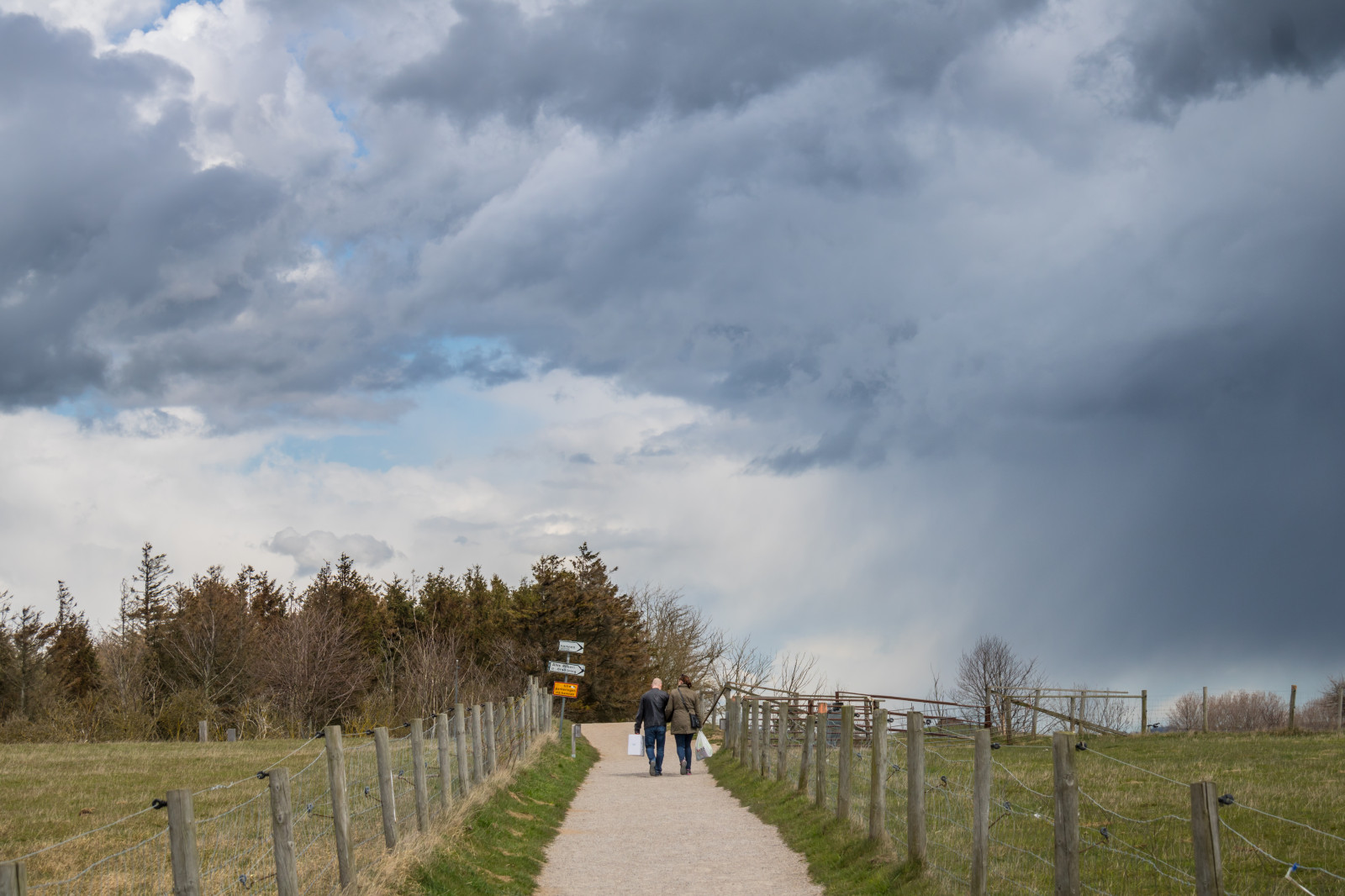krajina, kopec, Příroda, tráva, nebe, pole, vítr, cesta, mrak, strom, hora, počasí, nebe, moln, k seberga, stig, alestenar, alesstones, zemědělství, louka, prérie, venkov, atmosférický jev, meteorologický jev