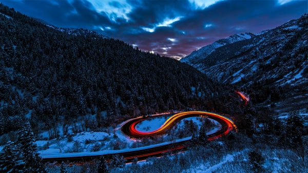 nature,landscape,road,long exposure,trees,forest