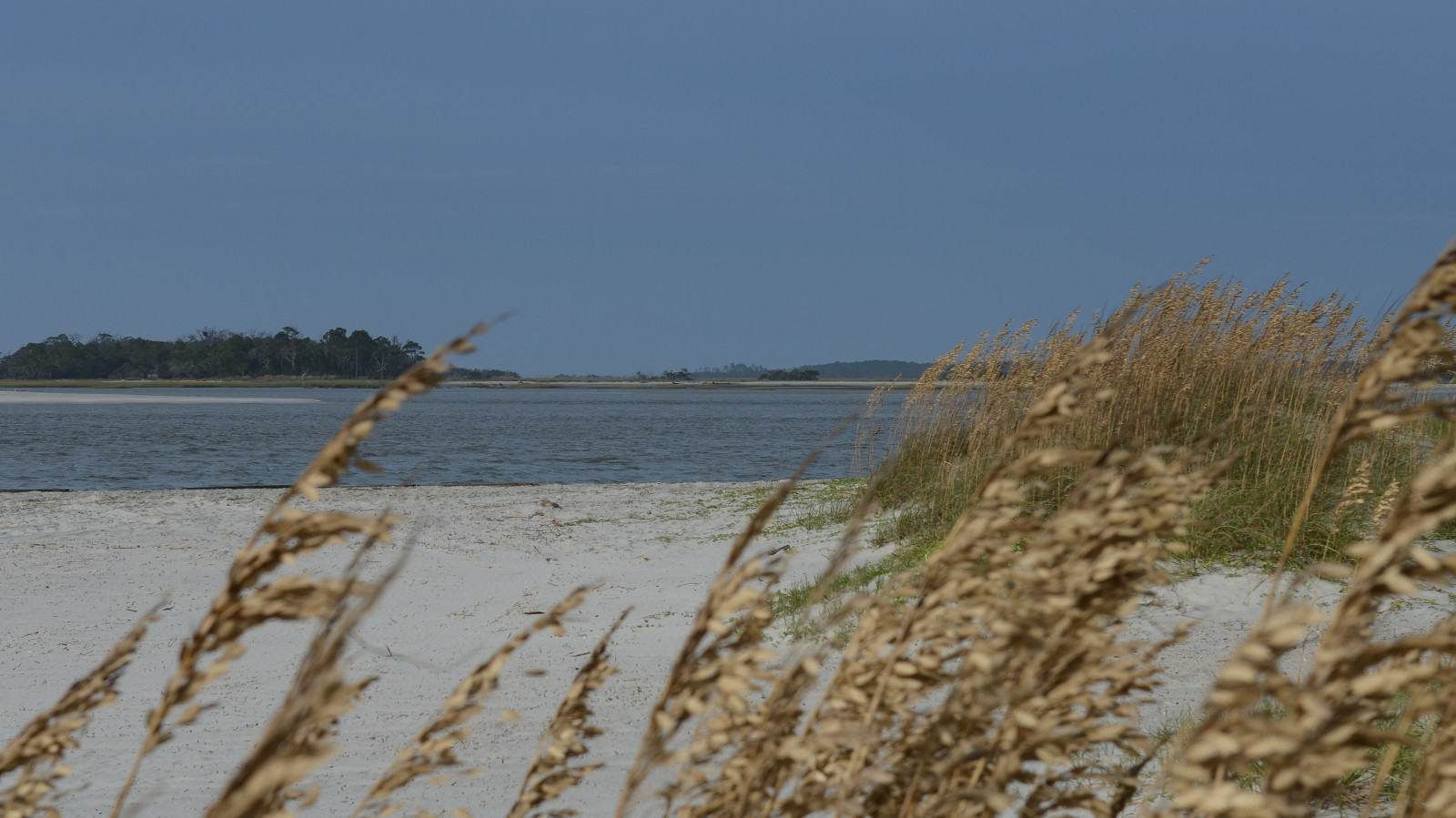 oceán, Spojené státy americké, pláž, Georgia, venku, ostrov, pobřeží, nás, pobřeží, písek, den, duny, jižní, nízký, duna, země, prohlížení památek, Slunný, turista, atlantický, cukr, Průhledná, jižní, pobřežní, Tybee