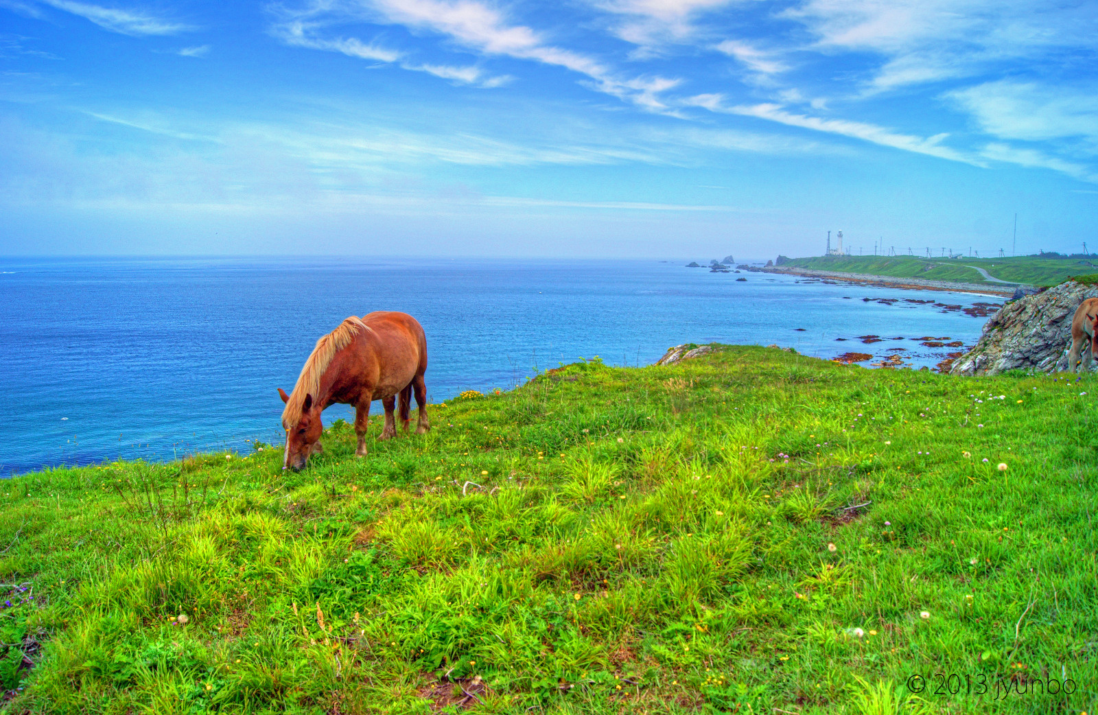 450+ Gambar Ekosistem Hewan Dan Tumbuhan HD Terbaru