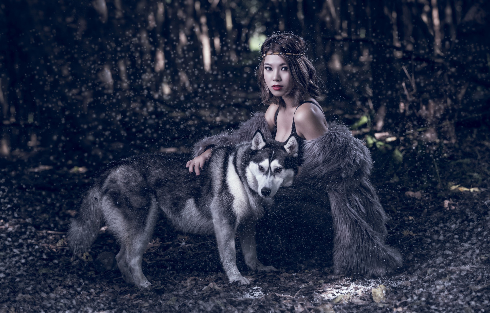 Wallpaper women, model, animals, Asian, fantasy girl 2048x1310