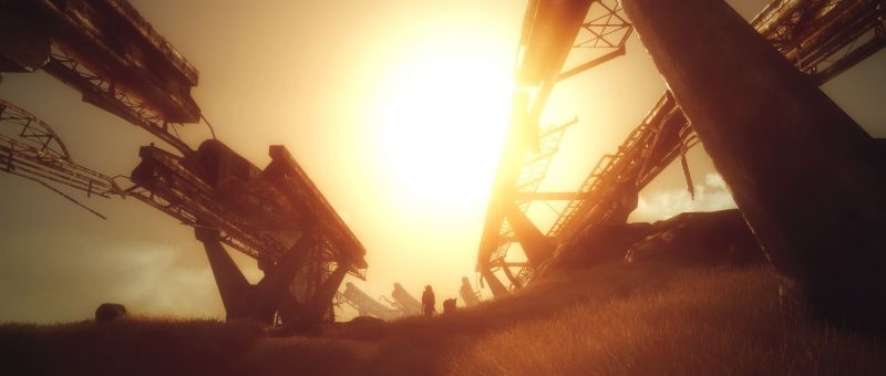 atmosfera,cielo,legna,erba,luce del sole,tramonto