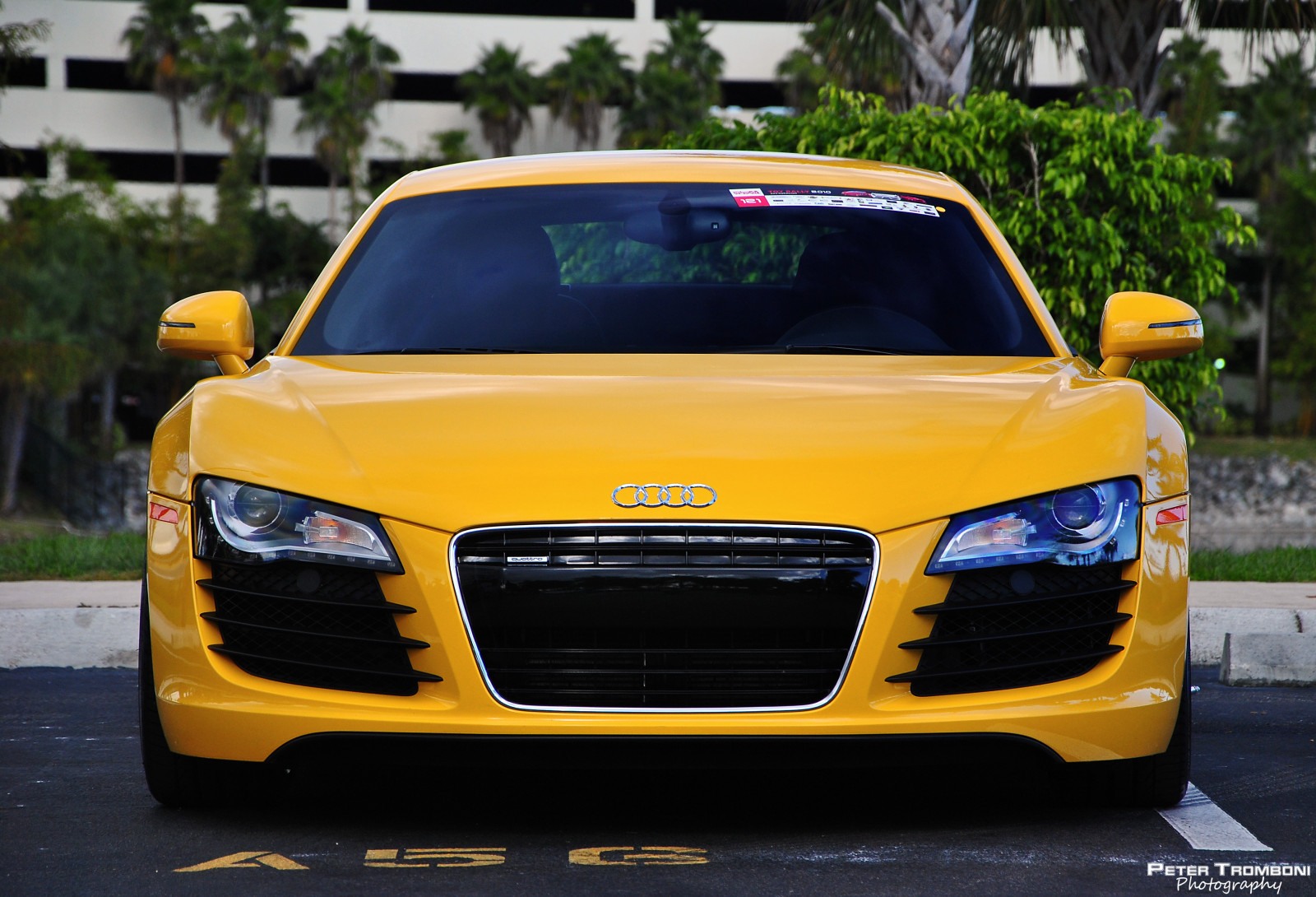 hračky, ulice, auto, vozidlo, Supercars, Nissan, Lamborghini, Porsche, Nikon, audi, kola, Hračka, sportovní auto, Ferrari, Maserati, mariňáci, pavouk, Audi R8, Shromáždění, kupé, Florida, F430, výkon auta, 2010, exotický, Spyder, acura, Spyker, Gallardo, kolo, nás, jižní, superauto, pro, 458, Murcielago, adv1, 360, výzva, stradale, 355, pozemní vozidla, automobilového designu, automobilový exteriér, luxusní vůz, motorové vozidlo, osobní luxusní automobil, výkonné auto, mrňousů, automotive wheel system