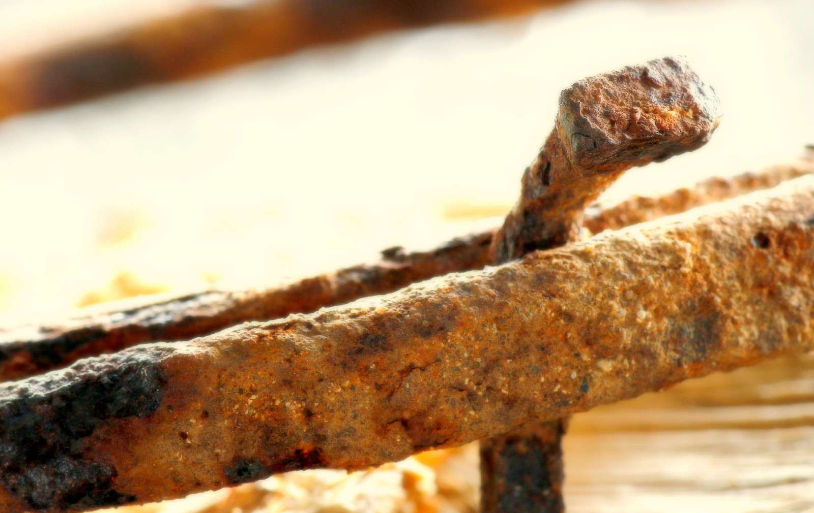 เนื้อ, อาหารสัตว์