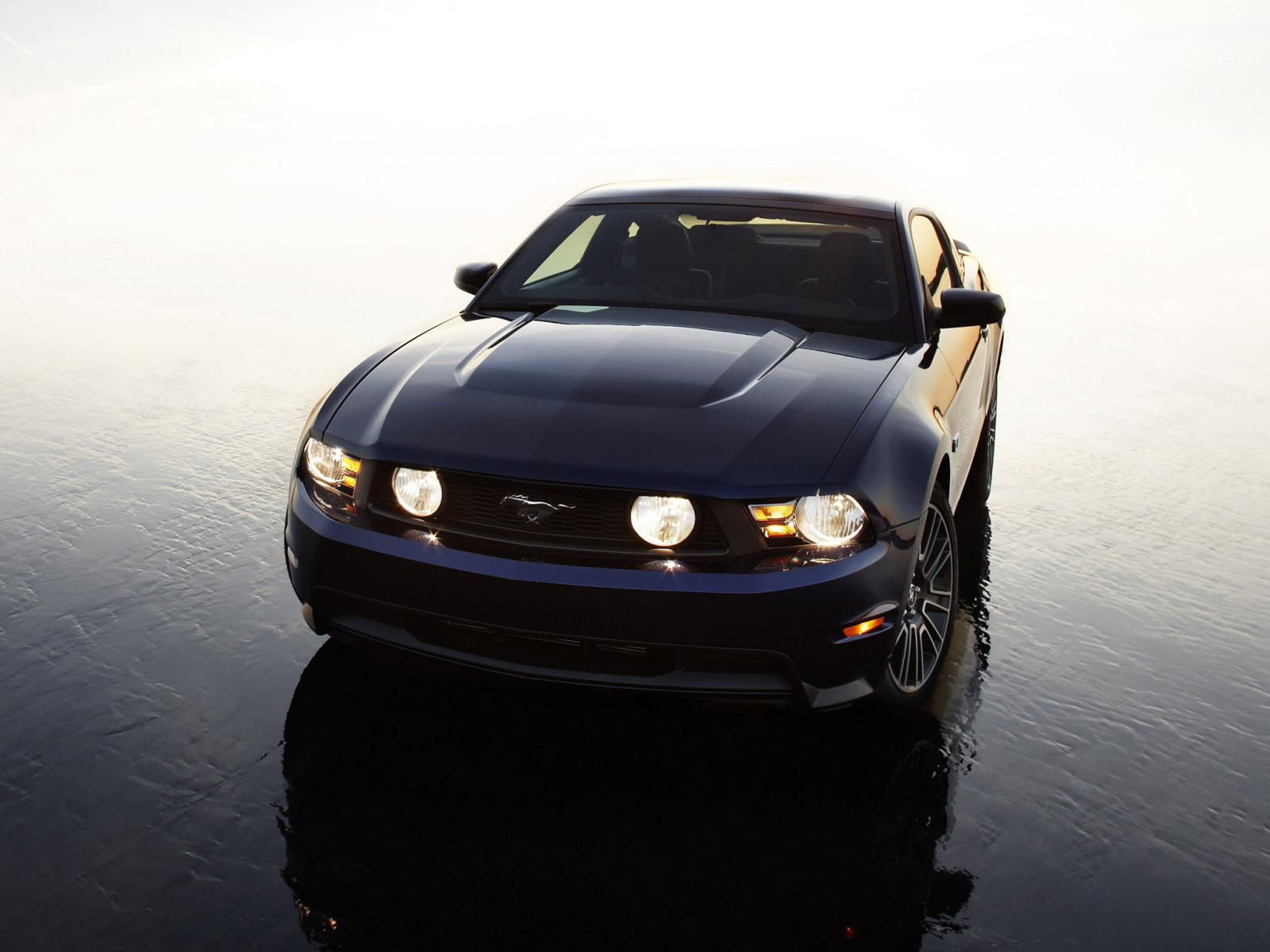 auto, vozidlo, Brod, 2013, klasická auta, výkon auta, netcarshow, netcar, obrázky vozidel, photo auto, Mustang, kolo, pozemní vozidla, automobilového designu, automobilový exteriér, automobil make, luxusní vůz, nárazník, závoďák, v plné velikosti vůz