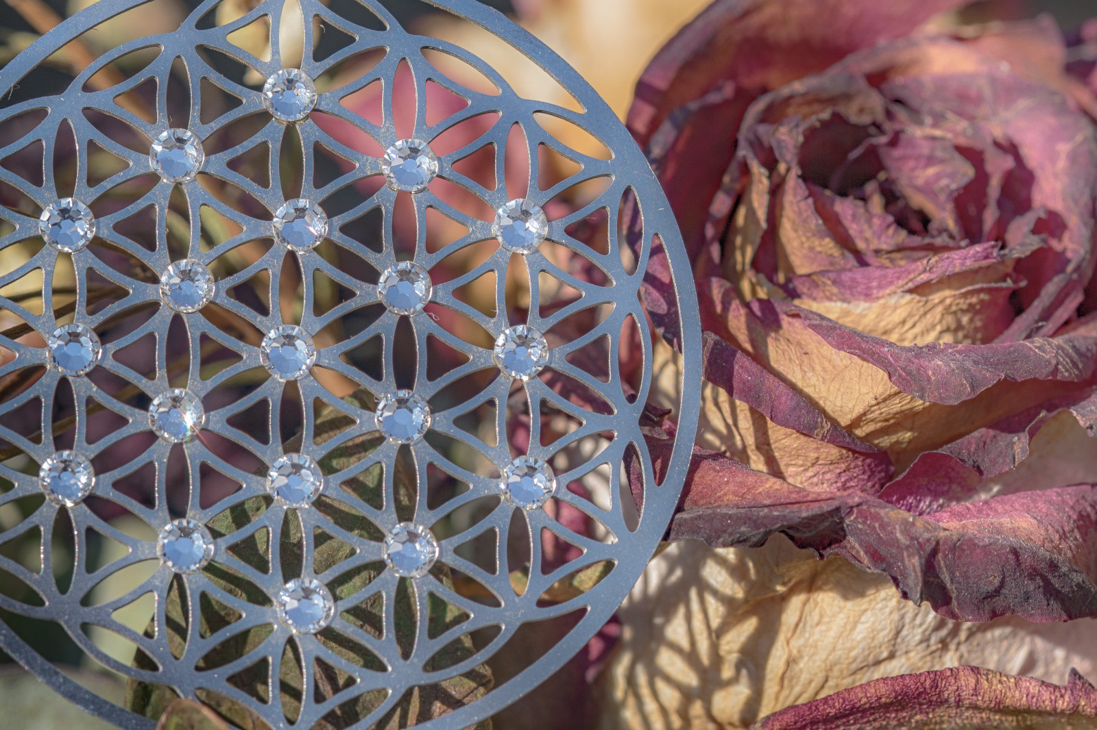 simbolo, madeofmetal, macromondays, metallo, metall, rosa, macro, macro, Blume, Blumedeslebens, fiore, Floweroflife