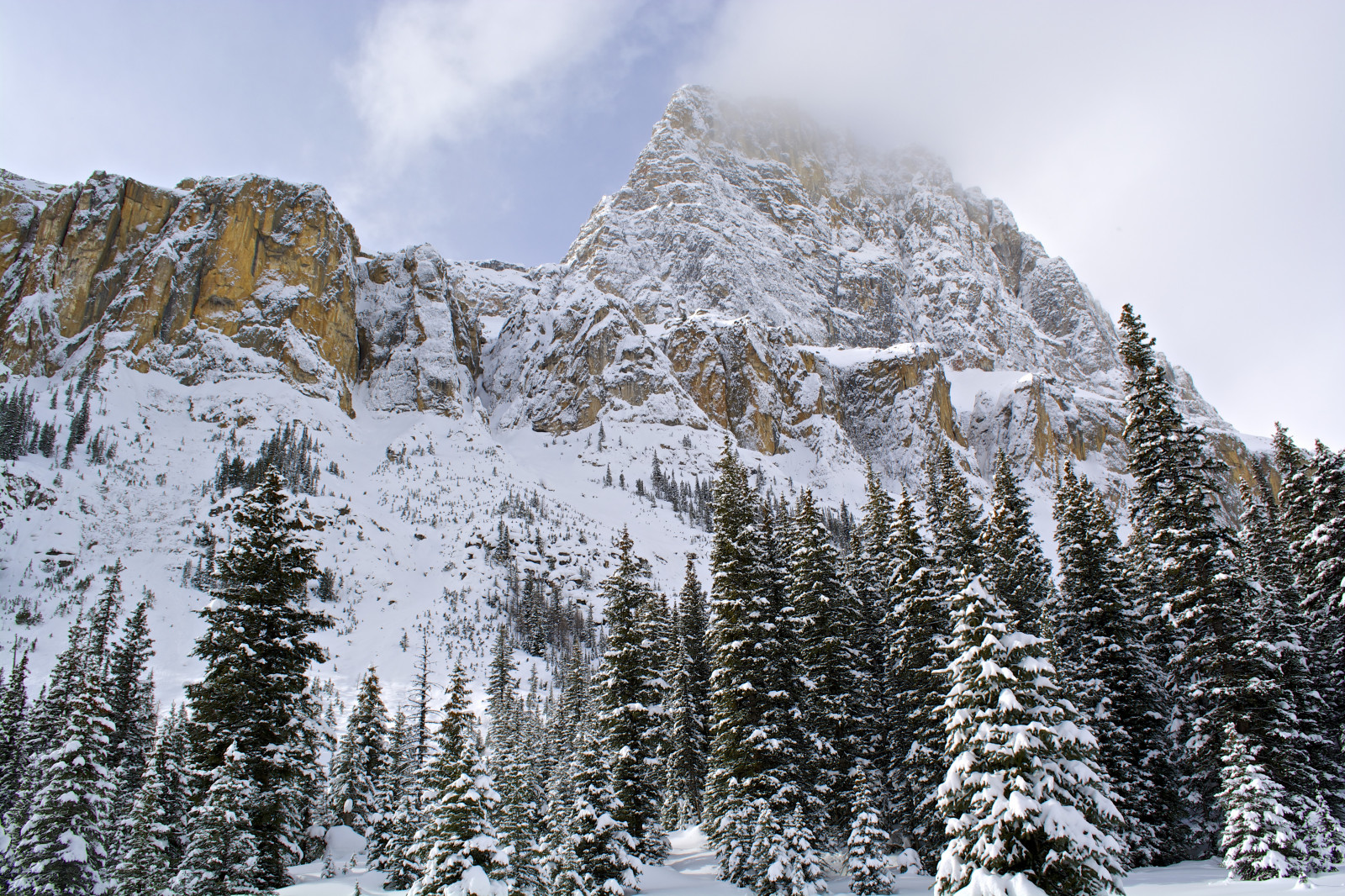 modrý, stromy, zima, nebe, mrak, hora, jezero, sníh, Lyže, Studený, strom, věž, hrad, led, les, řeka, vysoký, mráz, vrchol, údolí, luk, vrcholek, Bašta, Eisenhower, opevnit