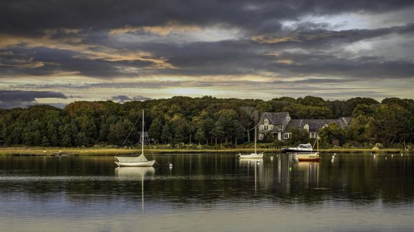 cloud,water,sky,boat,water resources,plant