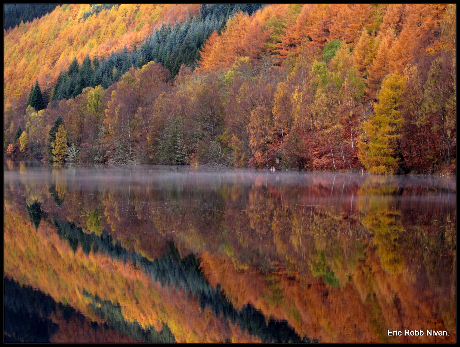 landskab, Skov, sø, natur, afspejling, Skotland, flod, ødemark, Dam, vådområde, træ, efterår, blad, sæson, skov, dundee, Pitlochry, lochtummel, ericrobbniven, loch, pentaxkx, canong12, levested