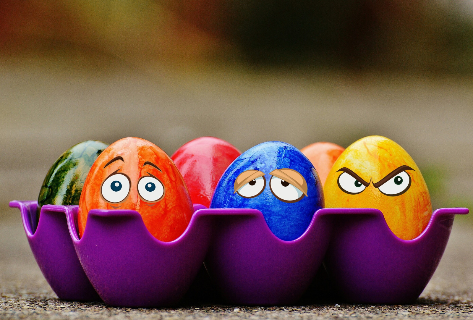 food, eggs, eyes, yellow, Easter, ART, color, bird, emotions, macro photography