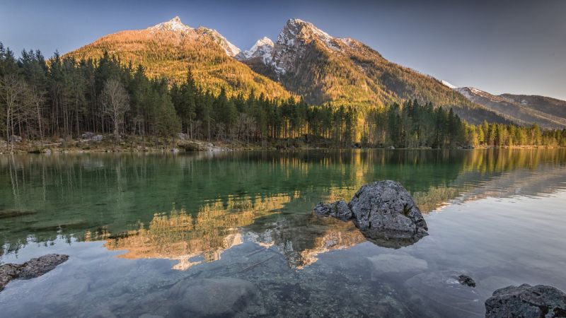 trees, landscape, forest, mountains, lake, water trees, landscape, forest, mountains, lake, water