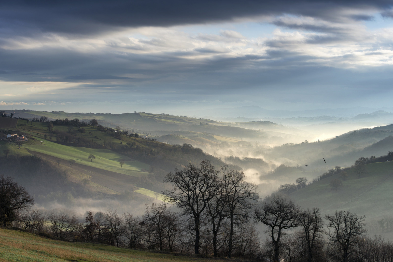 slunečnímu záření, stromy, krajina, les, kopec, Příroda, nebe, pole, svítání, večer, ráno, mlha, horizont, údolí, soumrak, mrak, strom, mlha, hora, počasí, svítání, louka, prostý, venkov, atmosférický jev, Atmosféra Země, horských reliéf, pohoří, meteorologický jev