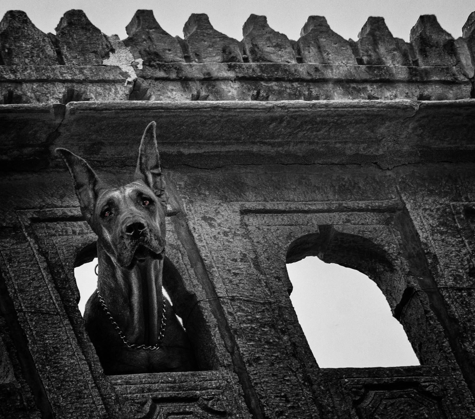 tempio, bianca, nero, monocromo, roccia, ombra, fotografia, casa, cane, scultura, statua, monumento, Guardando, ARTE, leggero, bw, forma, fotografia, oscurità, Immagine, asien, indien, bianco e nero, fotografia in bianco e nero, storia antica, doccione, urlaubasien