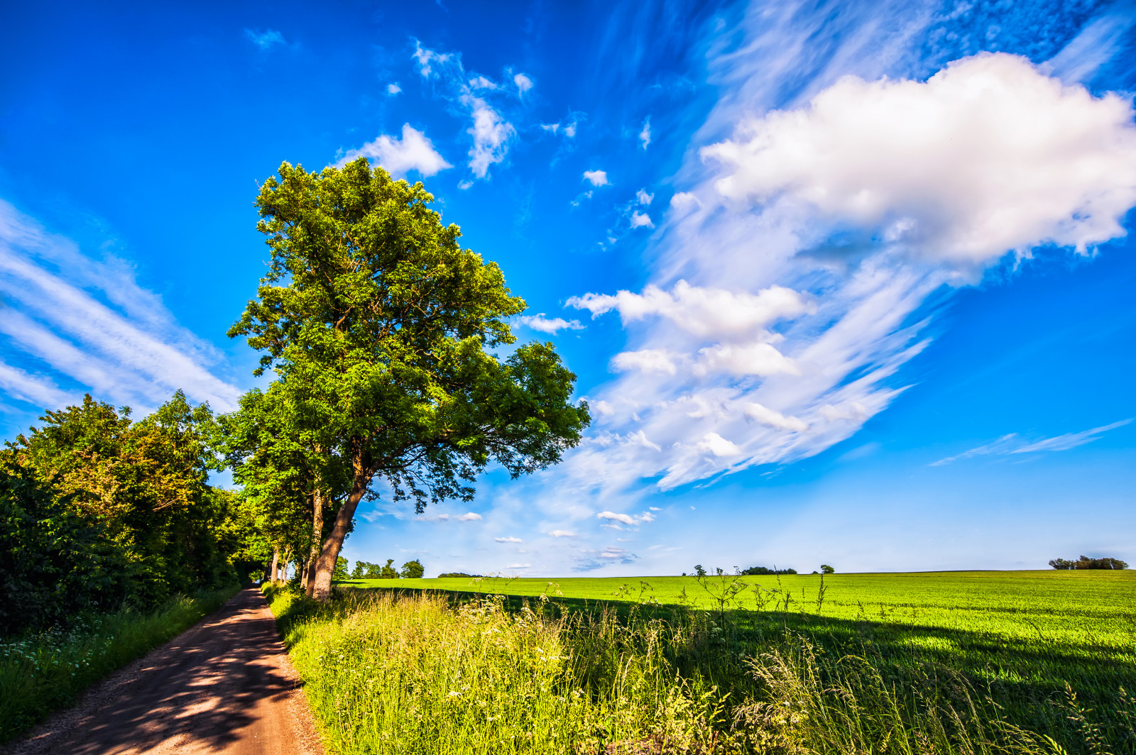 strada, blu, alberi, leggero, estate, cielo, Lund, verde, natura, nuvole, paesaggio, Skane, Nikon, caldo, vista, luminosa, Svezia, sentiero, camminare, azienda agricola, esplorando, agricoltura, raccolto, i campi, colture, passeggiare, sentiero, appe, D700