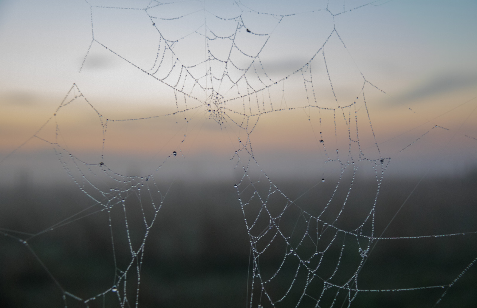 slunečnímu záření, krajina, voda, Příroda, odraz, nebe, svítání, ráno, mlha, pavouk, rosa, venkovský, mrak, mlha, bluehour, web, nebe, dimma, venkov, moln, spindeln t, landsbygd, materiál, soluppg ng, čára, s dersl tt, landskap, Norra by, exif modelu canoneos760d, geocountry, Kamera aby kánon, geocity, Model fotoaparátu canoneos760d, geostate, geolocation, EXIF čočka efs18200mmf3556is, exif aby kánon, bl timmen, EXIF otvor 45, exif focallength 50mm, exif isospeed 2000, n t, morgon, makro fotografie, outdoor struktura, bezobratlý, vlhkost, pavoučí síť