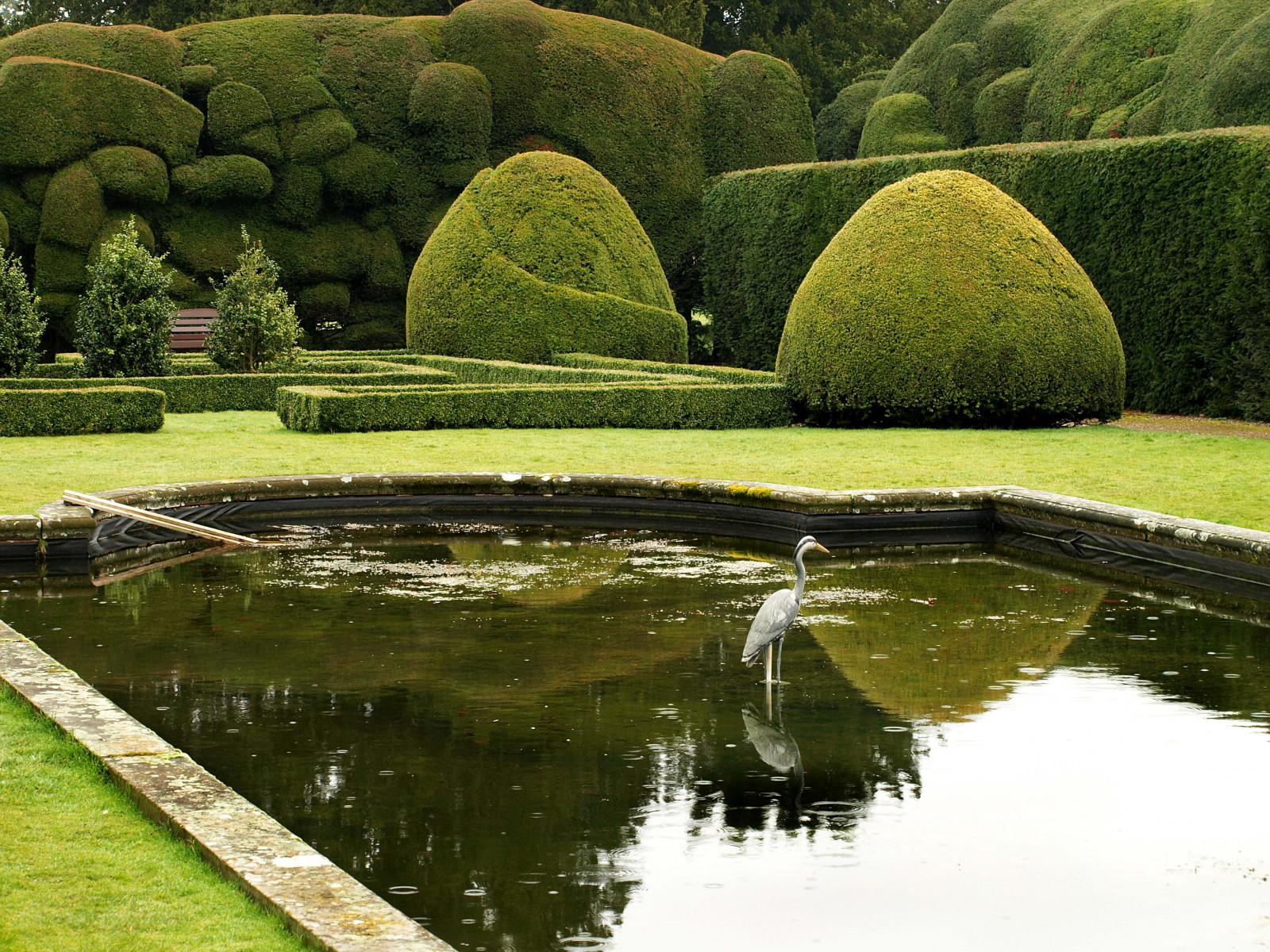 krajina, zahrada, voda, Příroda, odraz, tráva, zelená, Anglie, super hrdina, rybník, banka, živé ploty, 2008, strom, rostlina, vodní tok, zahrada, březen, Soe, aplusphoto, diamondclassphotographer, superaplus, palec nahoru, E510, keř, Botanická zahrada, terénní, odrážející bazén, gamewinner, friendlychallenge, tis, herefordshire, Favorit, 598, Holmelacyhouse, Bird598, national trust for places of historic interest or natural beauty