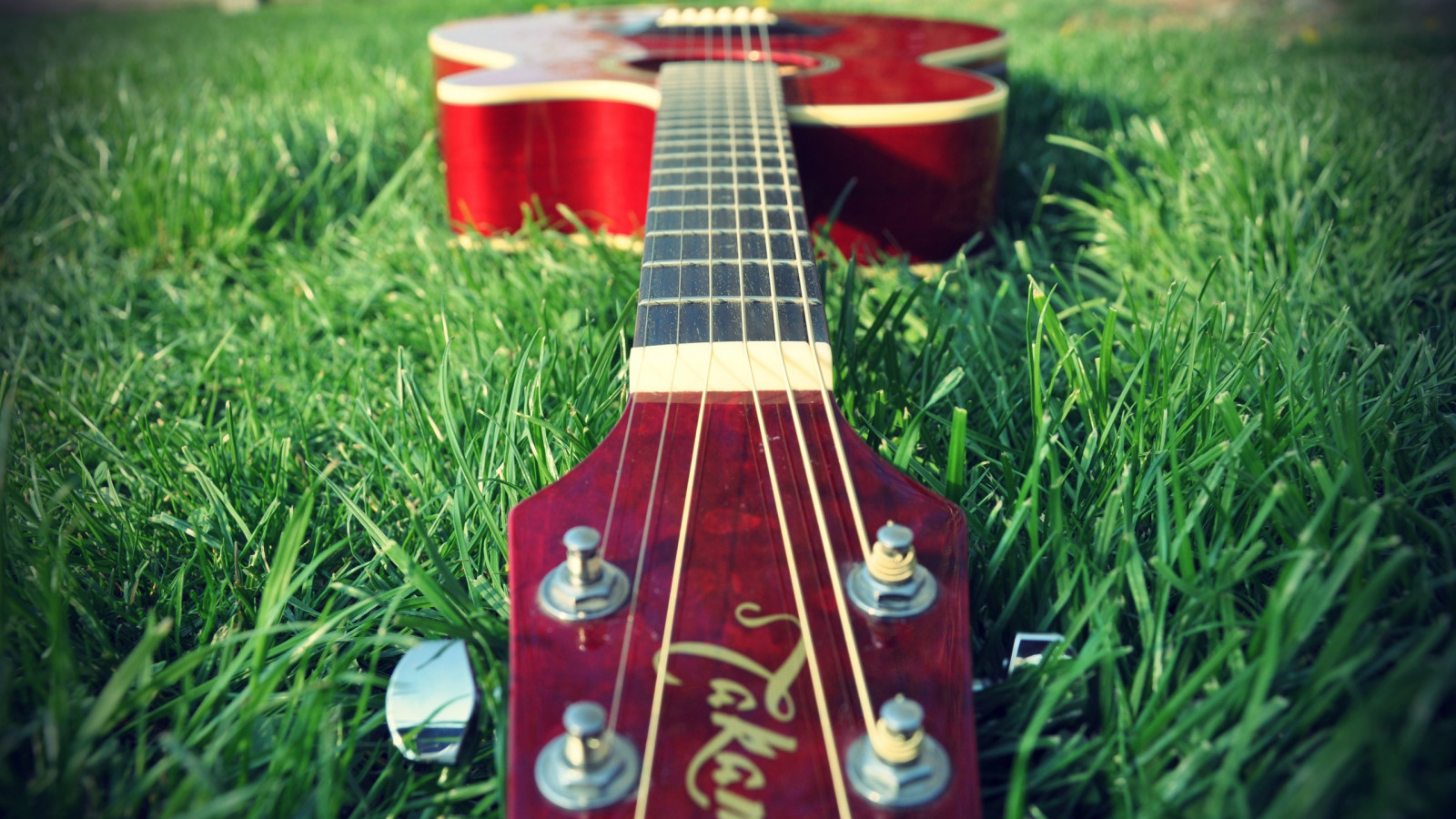 Wallpaper 2560x1440 px, grass, guitars, music 2560x1440 wallup