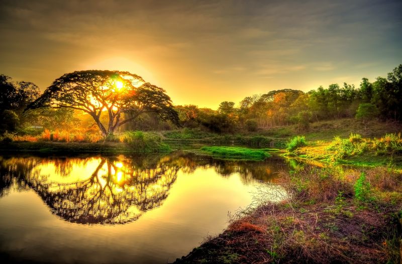 Sonnenlicht, Bäume, Landschaft, Wald, Sonnenuntergang, See Sonnenlicht, Bäume, Landschaft, Wald, Sonnenuntergang, See