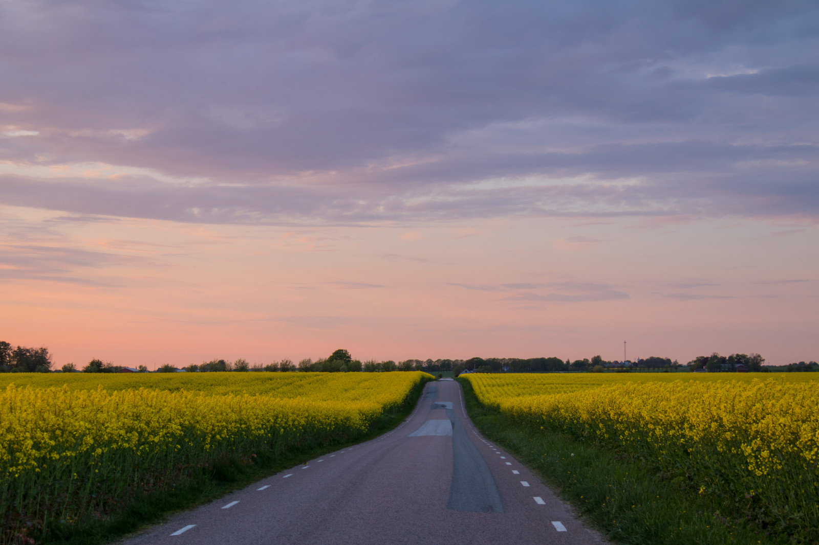 krajina, západ slunce, tráva, nebe, pole, silnice, svítání, ráno, horizont, soumrak, řepkového, mrak, květ, svítání, lučina, rostlina, fotosondag, solnedg ng, venkov, landsbygd, fs160515, f lt, s dersl tt, landskap, exif modelu canoneos760d, geocountry, Kamera aby kánon, geocity, Model fotoaparátu canoneos760d, geostate, geolocation, EXIF čočka efs18200mmf3556is, exif aby kánon, EXIF isospeed 100, exif focallength 35mm, EXIF otvor 50, řepka, fav100, VAG, zemědělství, louka, prostý, prérie, venkov, kvetoucí rostlina, tráva rodina, brassica, hořčice závod