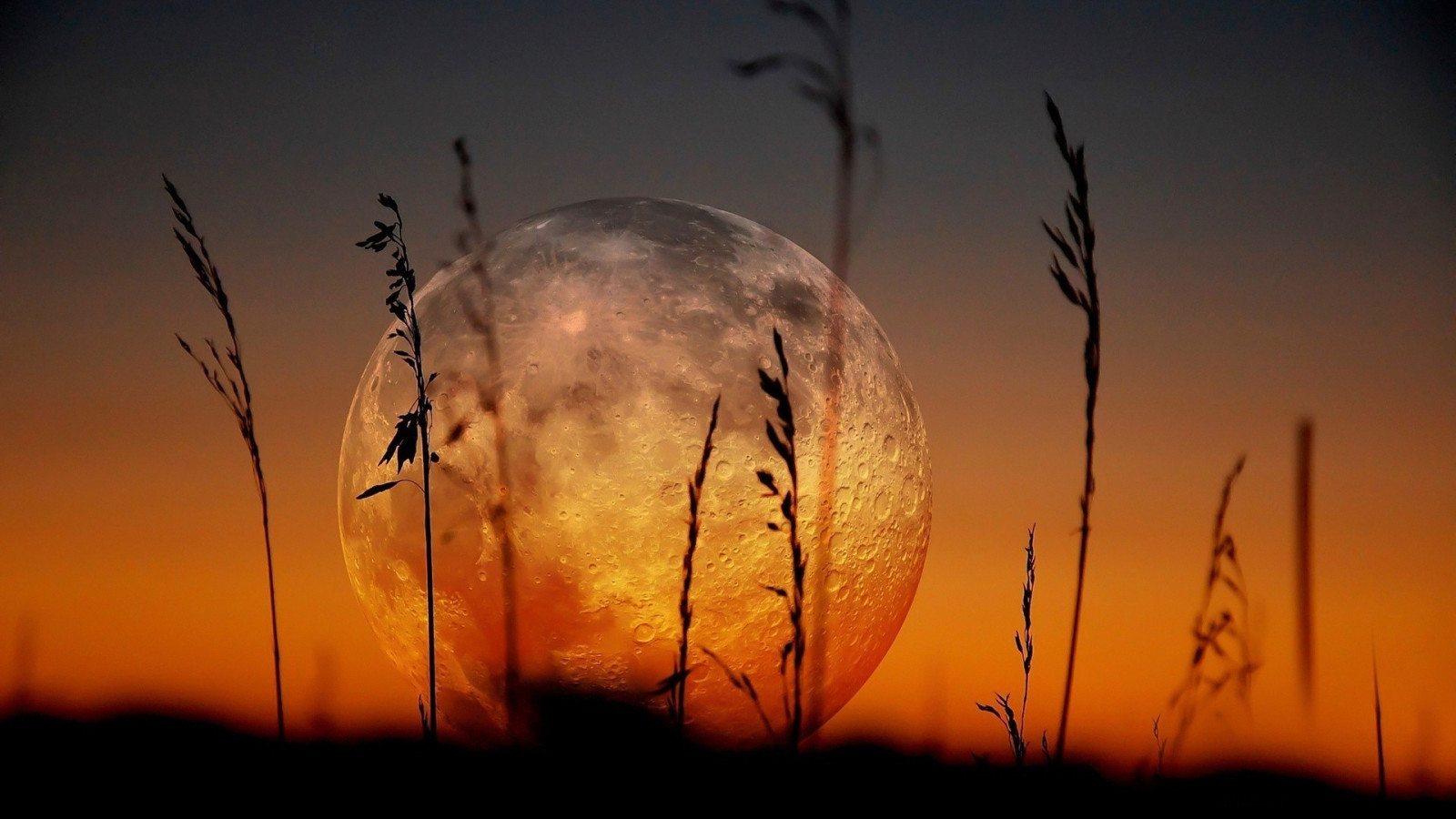 Wallpaper sunlight, landscape, sunset, nature, reflection, sky