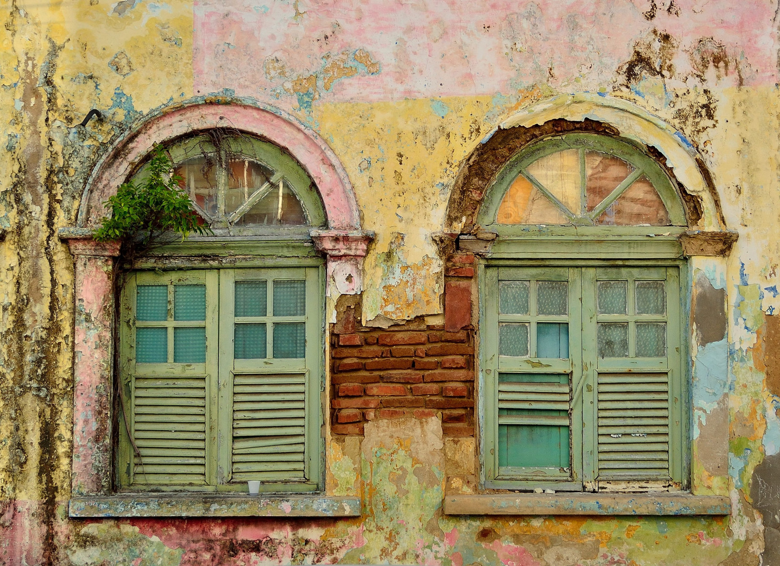 starý, Dům, okno, arquitetura, stěna, Brasil, architektura, fasáda, casa, janela, Antiga, minimalismus, fachada, Parede, Paraiba, Antigo, Helvio, brasilemimagens