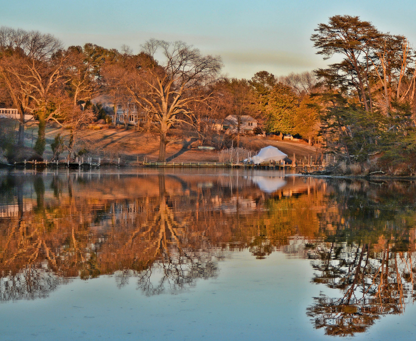 stromy, krajina, jezero, voda, Příroda, odraz, zima, večer, ráno, řeka, divočina, rybník, mokřadní, strom, podzim, list, rostlina, sezóna, waterscape, odrazy, Annapolis, waterreflections, bažina, venkov, dřevina