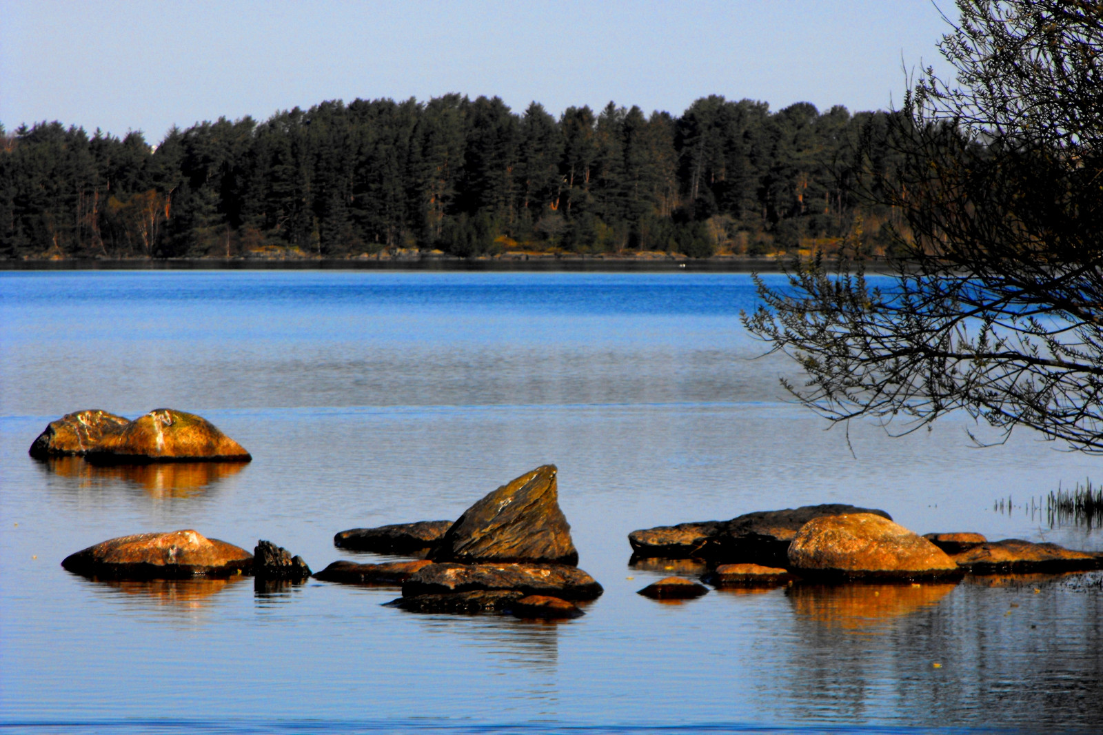 krajina, moře, záliv, jezero, voda, Skála, Příroda, pobřeží, odraz, nebe, uklidnit, Norsko, ráno, pobřeží, řeka, fjord, divočina, rybník, banka, Lake District, mokřadní, strom, hora, rostlina, souostroví, zátoka, nádrž, pleso, jezero, tělo z vody, Stavanger, národní park, vstupní, Stokkavatnet, skerry