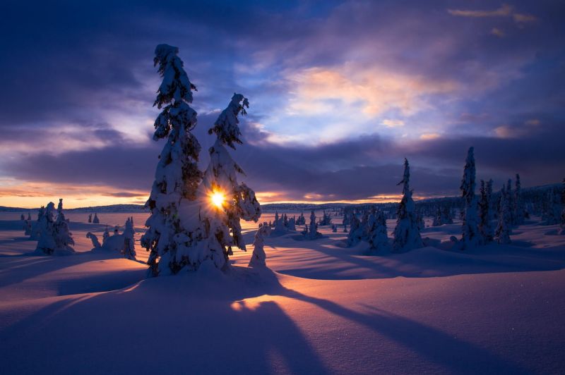 paisaje, puesta de sol, luz de sol, Árboles, noche, naturaleza paisaje, puesta de sol, luz de sol, Árboles, noche, naturaleza