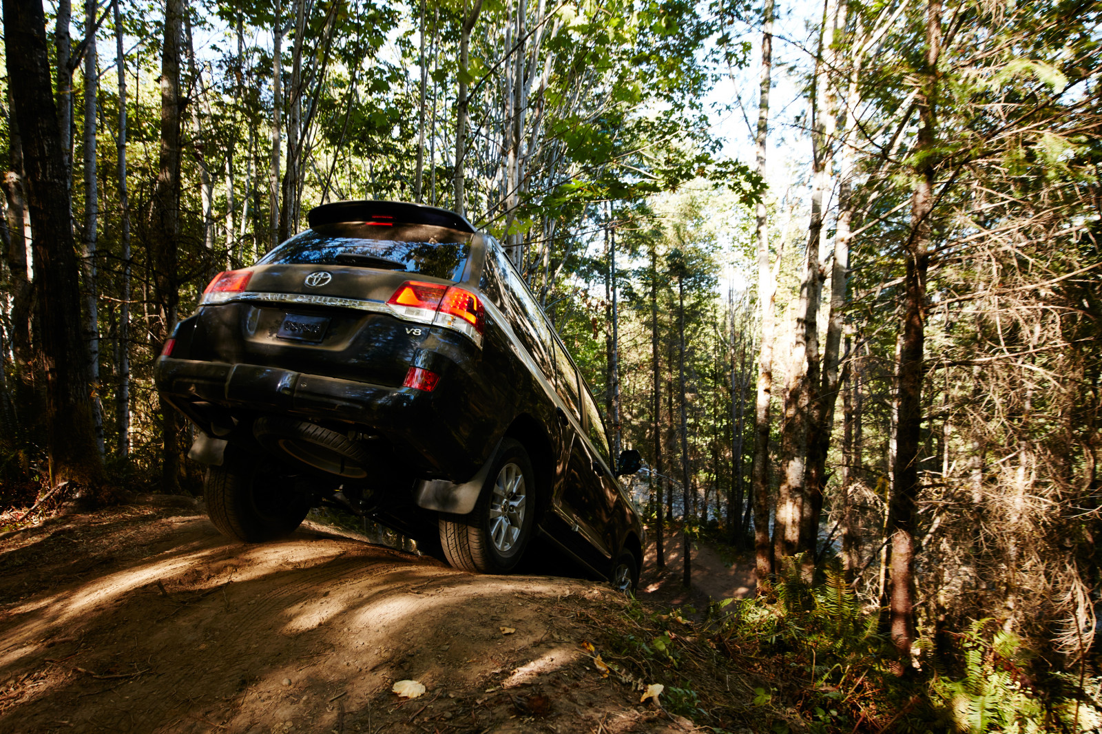 sportovní, les, auto, vozidlo, Toyota, džungle, závodění, Džíp, Land Cruiser, netcarshow, netcar, obrázky vozidel, photo auto, 2016, stezka, motorsport, místo výskytu, přírodní prostředí, auto závodní, shromažďovací, Mistrovství světa rally, off road, terénní vozidlo, na horském kole