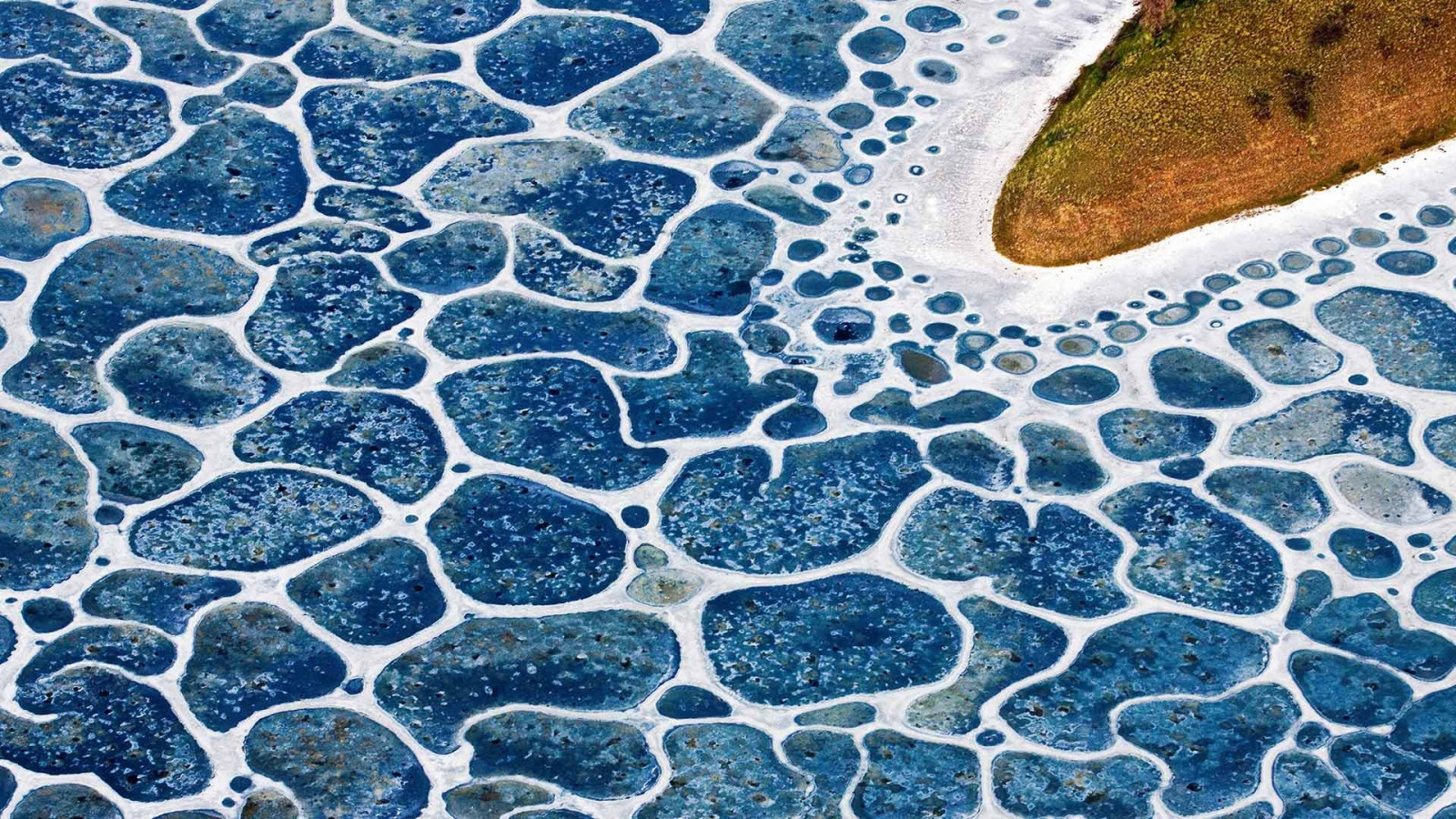 paesaggio, lago, acqua, natura, costa, modello, struttura, Canada, vista aerea, British Columbia, design, linea, suolo, pavimentazione