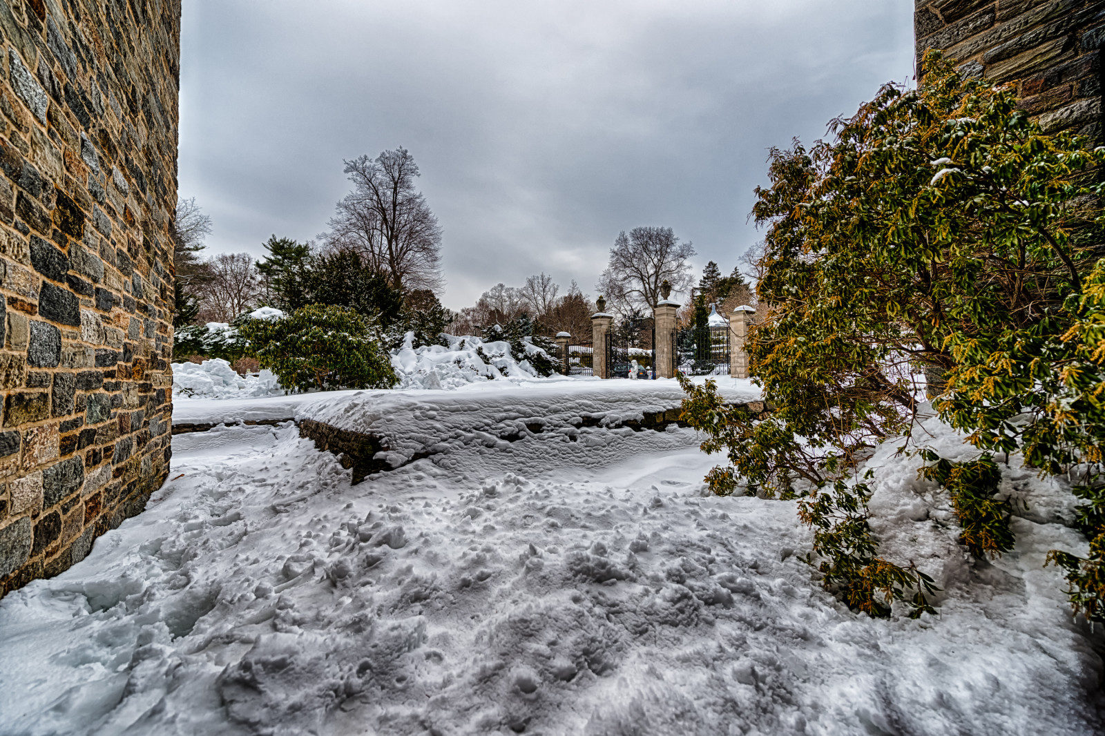 stromy, krajina, starý, voda, budova, nebe, sníh, zima, fotografování, mraky, větev, led, řeka, HDR, Nikon, kámen, zmrazení, UMĚNÍ, mrak, strom, list, rostlina, newyork, ny, D800E, photographersontumblr, nikond800e, 1424, li, dlouhý ostrov, vrásčitý, retinaresolution, artistsontumblr, lensblr, nikon1424f28, dřevina
