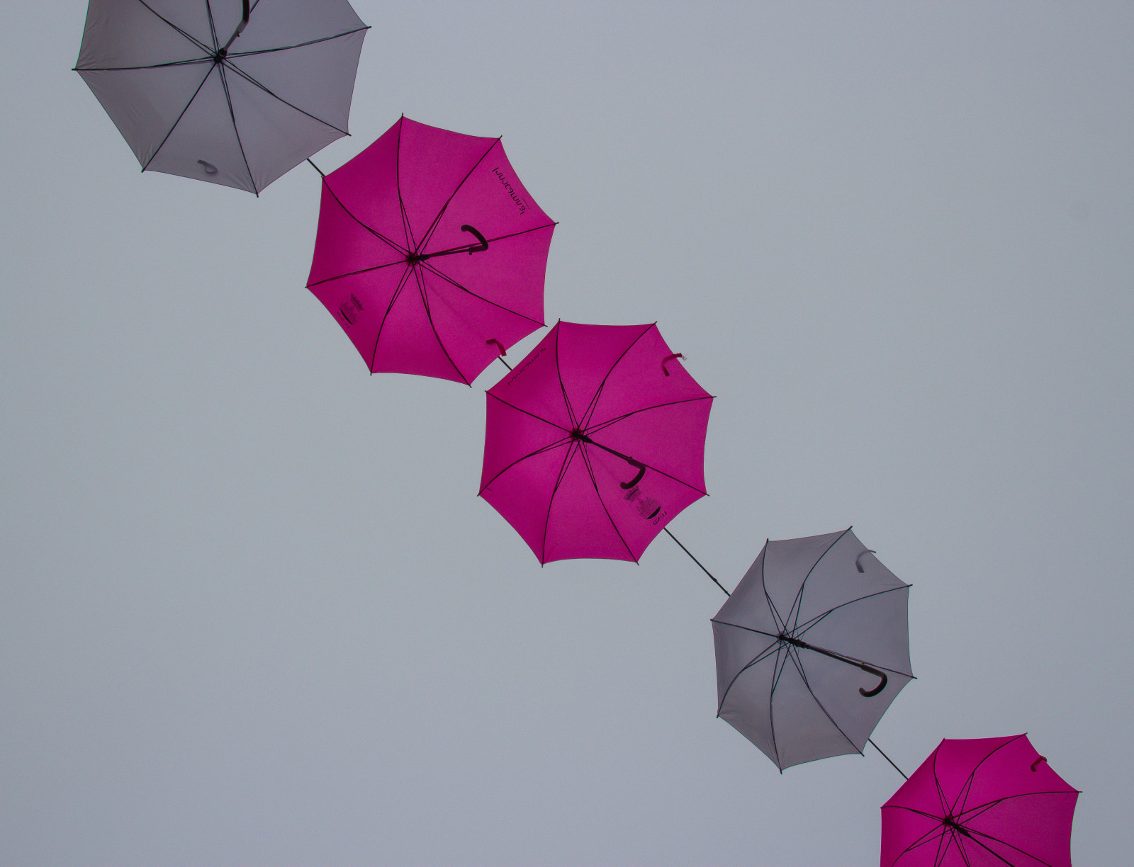 ภาพประกอบ, สีแดง, ร่ม, สมมาตร, ของเล่น, สีชมพู, สี, ดอกไม้, ลันด์, รูปร่าง, บรรทัด, กลีบดอก, เชิงอรรถ, rosa, innocarnival, เครื่องประดับแฟชั่น, ว่าวกีฬา, กีฬาว่าว