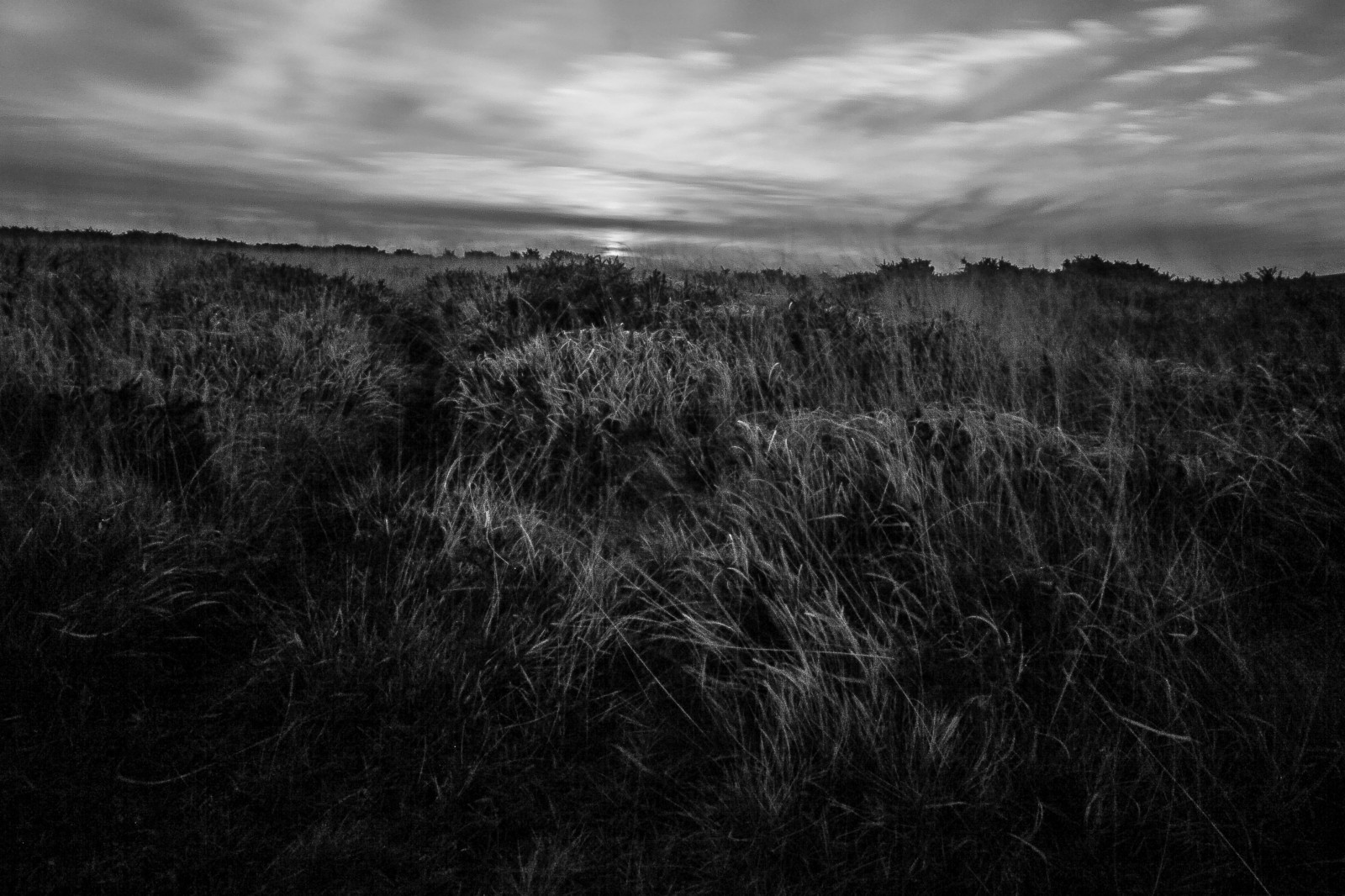 ท้องฟ้า, ดำ, ดำและขาว, ถ่ายภาพขาวดำ, บรรยากาศ, เมฆ, การถ่ายภาพ, ขาวดำ, หญ้า, ปรากฏการณ์, เช้า, ต้นไม้, ความมืด, ตอนเย็น, ปรากฏการณ์ทางอุตุนิยมวิทยา, แนวนอน, แสงแดด, ขอบฟ้า, ป่า, รุ่งอรุณ, stock photography, วอลล์เปเปอร์คอมพิวเตอร์, ฟิลด์