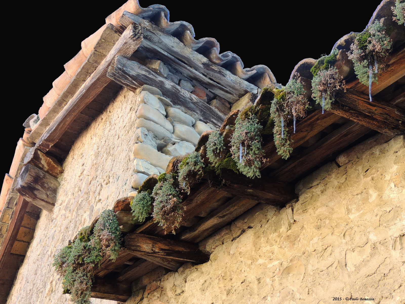 Wallpaper : Italy, rock, wood, tree, roof, roofs, tetti, emiliaromagna