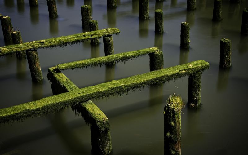 2560x1600 px, dlouhé expozice, Příroda, zřícenina, mech, molo 2560x1600 px, dlouhé expozice, Příroda, zřícenina, mech, molo