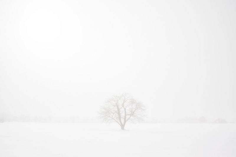 zima, bílý, Černý a bílý, sníh, zmrazení, monochromatické fotografování zima, bílý, Černý a bílý, sníh, zmrazení, monochromatické fotografování