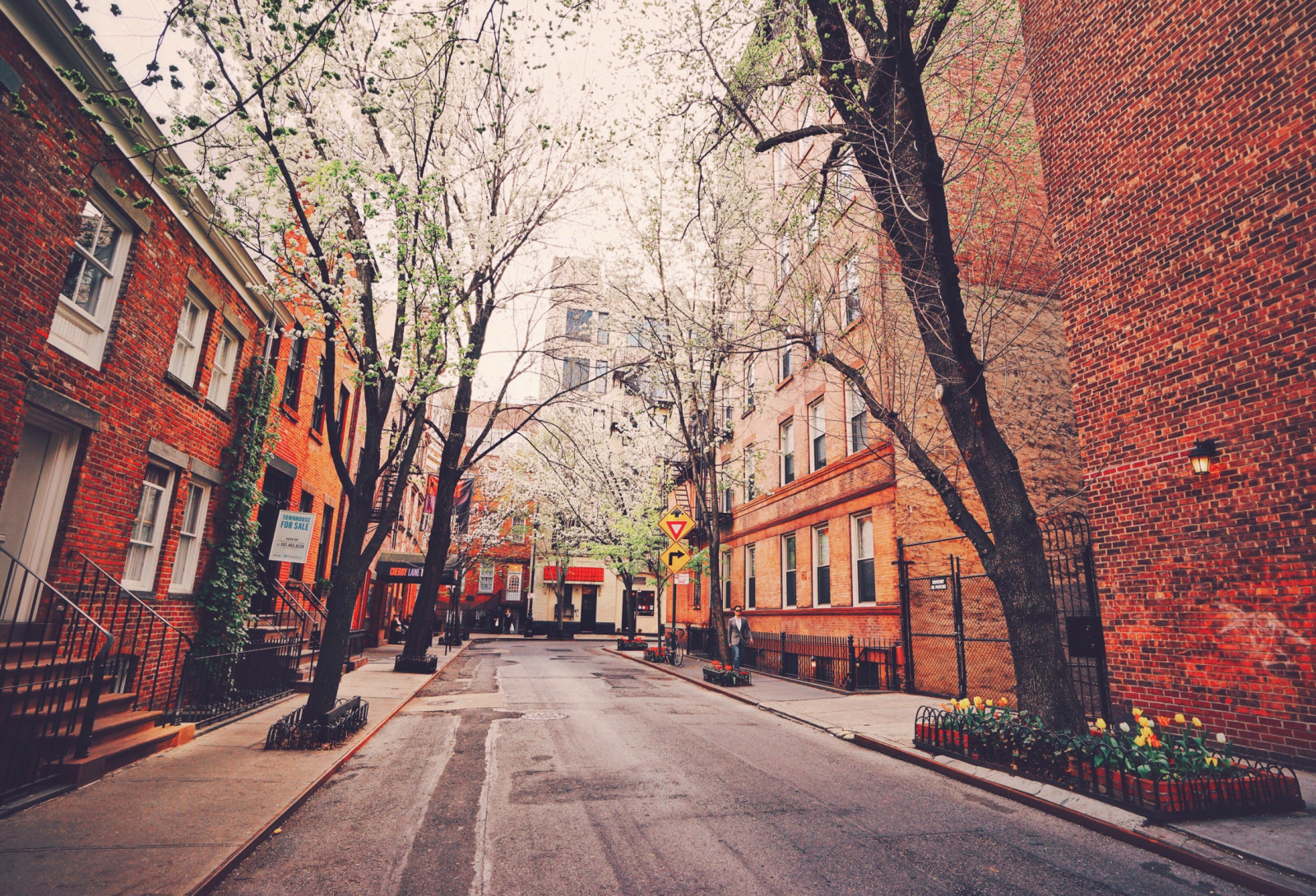stromy, město, ulice, panoráma města, městský, budova, silnice, večer, město, infrastruktura, barva, strom, centrum, podzim, květ, sezóna, alej, předměstí, pruh, urban area, vodní, lidské osídlení, sousedství, obytný prostor