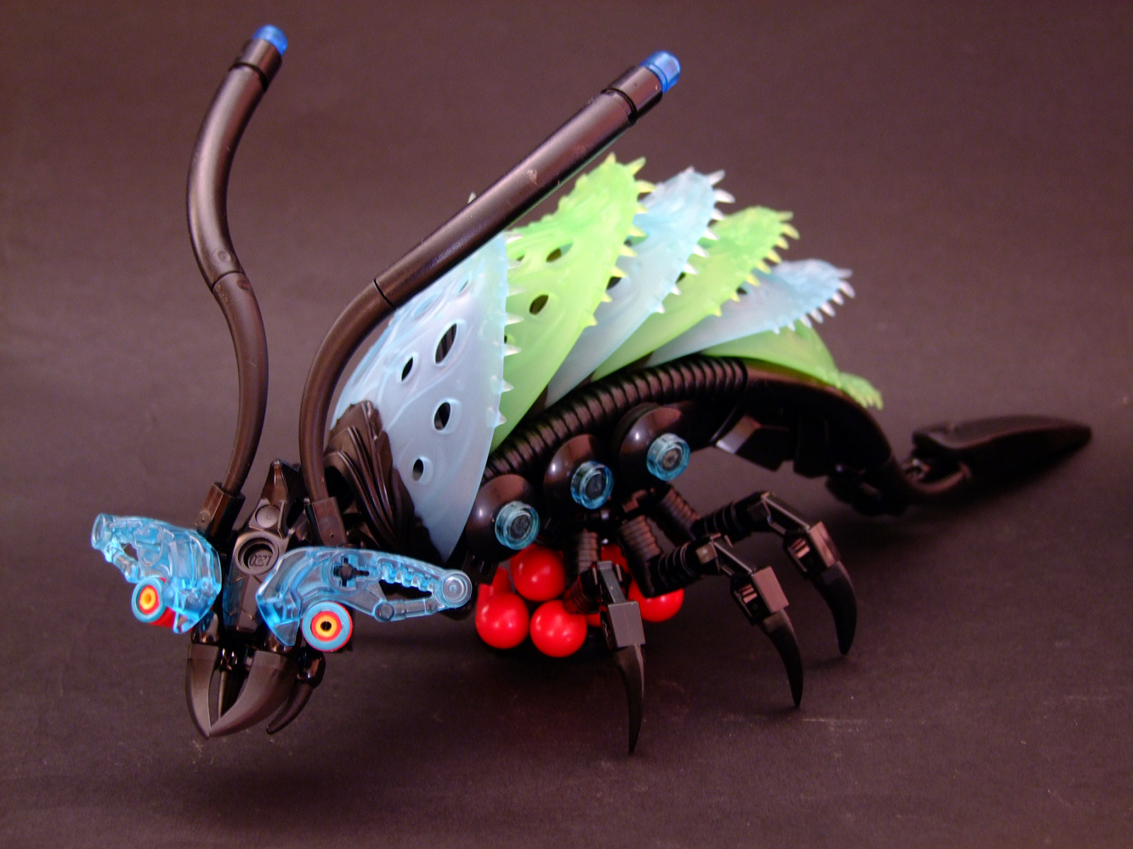 hmyz, bezobratlý, organismus, můry a motýli, opylovači, členovců, scarabs