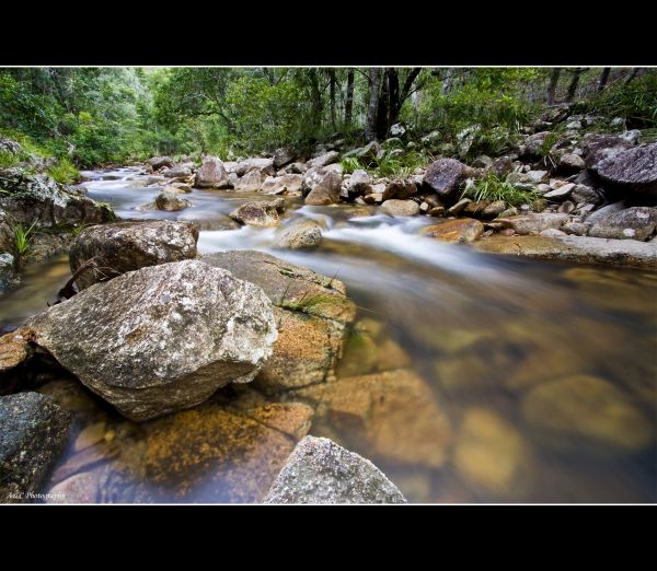 trees, forest, rock, landscape, waterfall, water