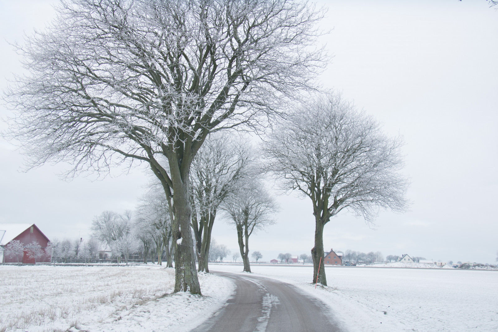 krajina, nebe, sníh, zima, silnice, větev, led, ráno, mlha, mráz, Jinovatka, zmrazení, strom, scenérie, mlha, počasí, sezóna, nebe, Vinter, tr d, landskap, VAG, rimfrost, tři, vánice, atmosférický jev, dřevina, zimní bouře, déšť a sníh mísí