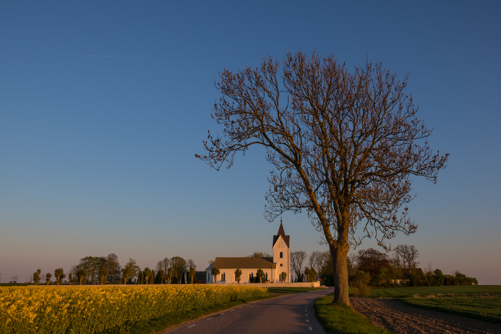luce del sole, paesaggio, tramonto, collina, natura, erba, cielo, campo, Alba, sera, mattina, orizzonte, crepuscolo, colza, nube, albero, autunno, foglia, fiore, alba, pianta, stagione, solnedg ng, campagna, landsbygd, rap, f lt, s dersl TT, Landskap, canola, rapefield, prato, pianura, prateria, area rurale, fenomeno atmosferico, pianta legnosa, savana