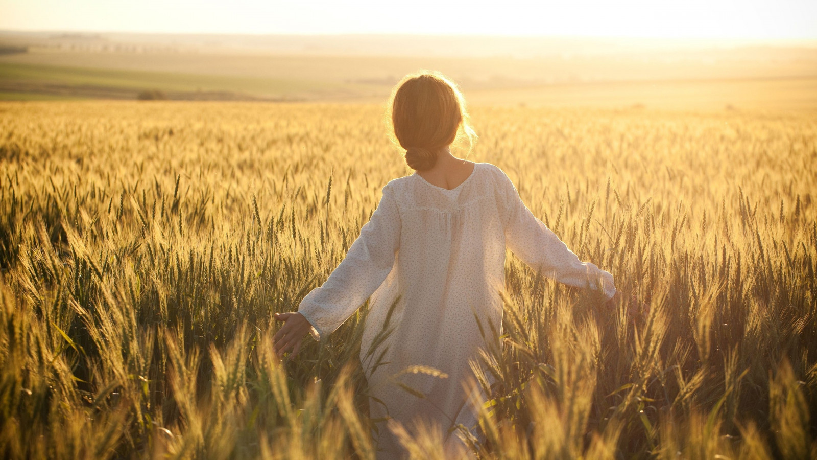 slunečnímu záření, jídlo, ženy, pole, ráno, pšenice, Žito, lučina, rostlina, zemědělství, prostý, 2560x1440 px, prérie, oříznutí, suchozemská rostlina, kvetoucí rostlina, tráva rodina, potravy zrní, zboží, vlasy Bun