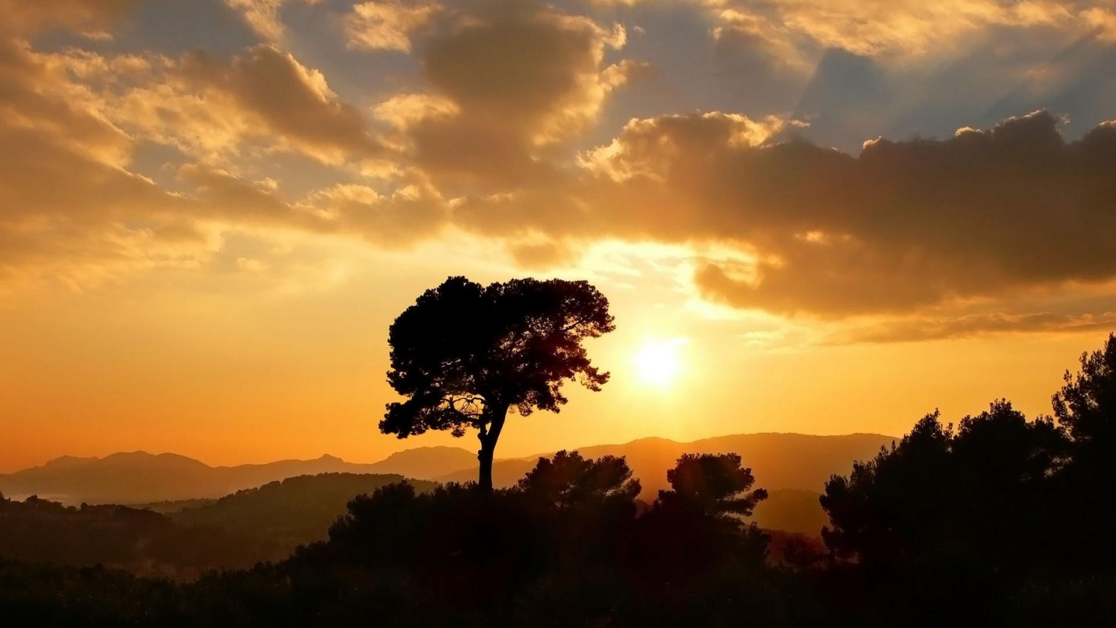 lumina soarelui, copaci, peisaj, apus de soare, deal, natură, cer, camp, nori, răsărit, seară, dimineaţă, Soare, orizont, atmosfera, amurg, nor, zori de zi, fenomen atmosferic, amurg, cerul roșu în dimineața, savană