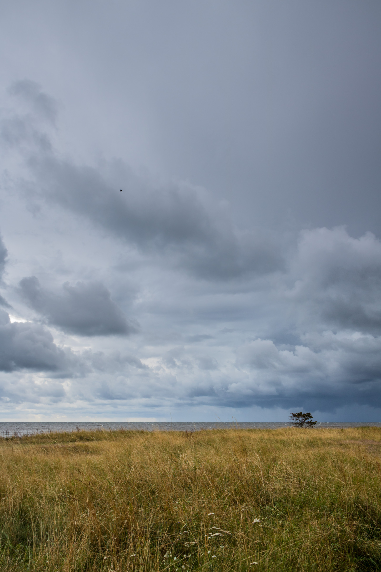 landskab, hav, bakke, vand, natur, græs, himmel, Mark, morgen, kyst, vind, horisont, plateau, steppe, Sky, vejr, græsarealer, himmel, Vatten, hav, Moln, stersj n, s dersl tt, Smygehamn, exif model canoneos760d, geocountry, kamera gør kanon, geocity, kameramodel canoneos760d, geostate, geolocation, exif linse efs18200mmf3556is, exif gøre kanon, exif isospeed 100, exif åbningen 80, exif focallength 18mm, dårligt vejr, darksky, d ligtv der, eng, almindeligt, prærie, landdistrikt, levested, naturligt miljø, atmosfærisk fænomen, geografisk funktion, økosystem, meteorologisk fænomen, savanne