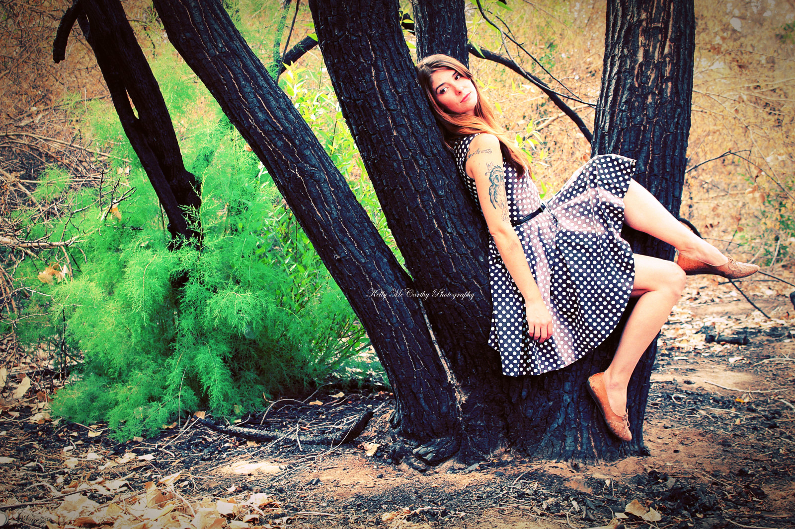 sollys, Skov, model, natur, brunette, ben, fotografering, kjole, tatovering, grøn, mode, årgang, forår, smuk, træ, efterår, pige, skønhed, sæson, kvinde, retro, kvinde, fotografi, positur, skov, naturligt miljø, Photo shoot, vedplante, Polka prikker, polkadotdress, catchycolorsgreen, owltattoo, girlinatree