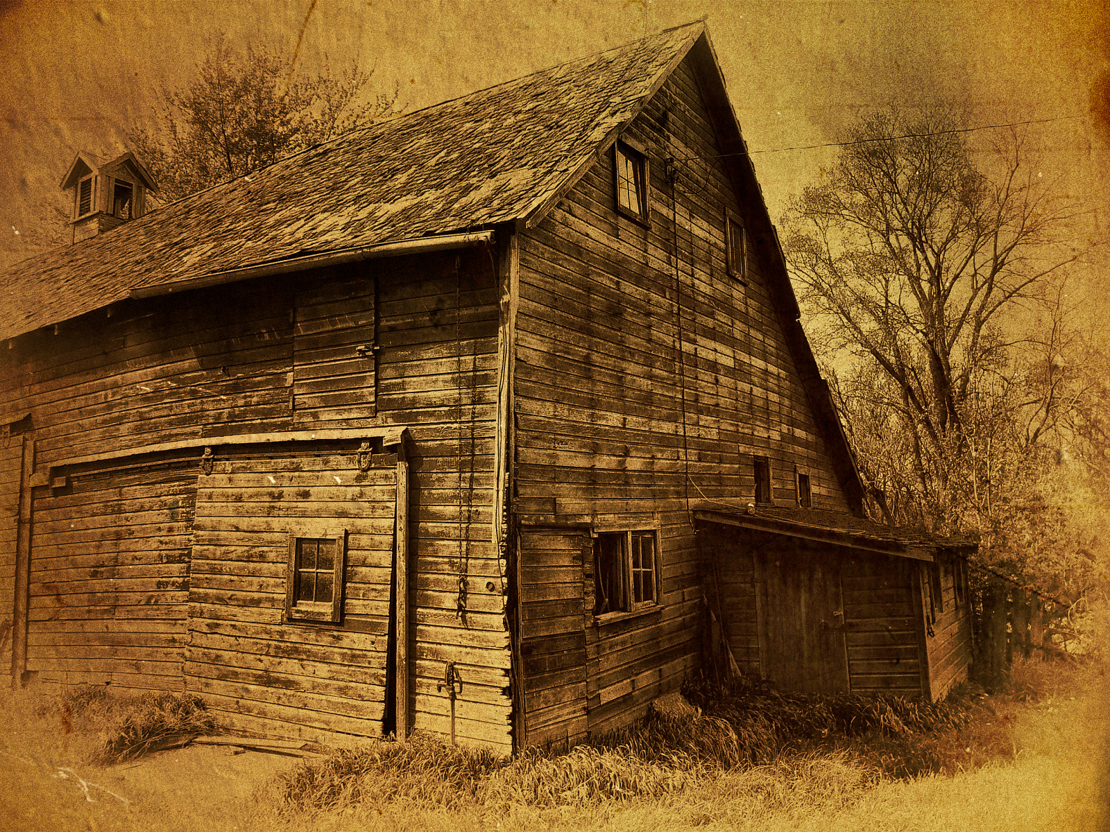 krajina, budova, opuštěný, tráva, nebe, dřevo, Dům, dějiny, hospodařit, textura, Spojené státy americké, stodola, chata, rozklad, Minnesota, venkovský, chatrč, země, strom, blinkagain, domů, zemědělství, texturized, fasáda, venkov, srub, watonwancounty