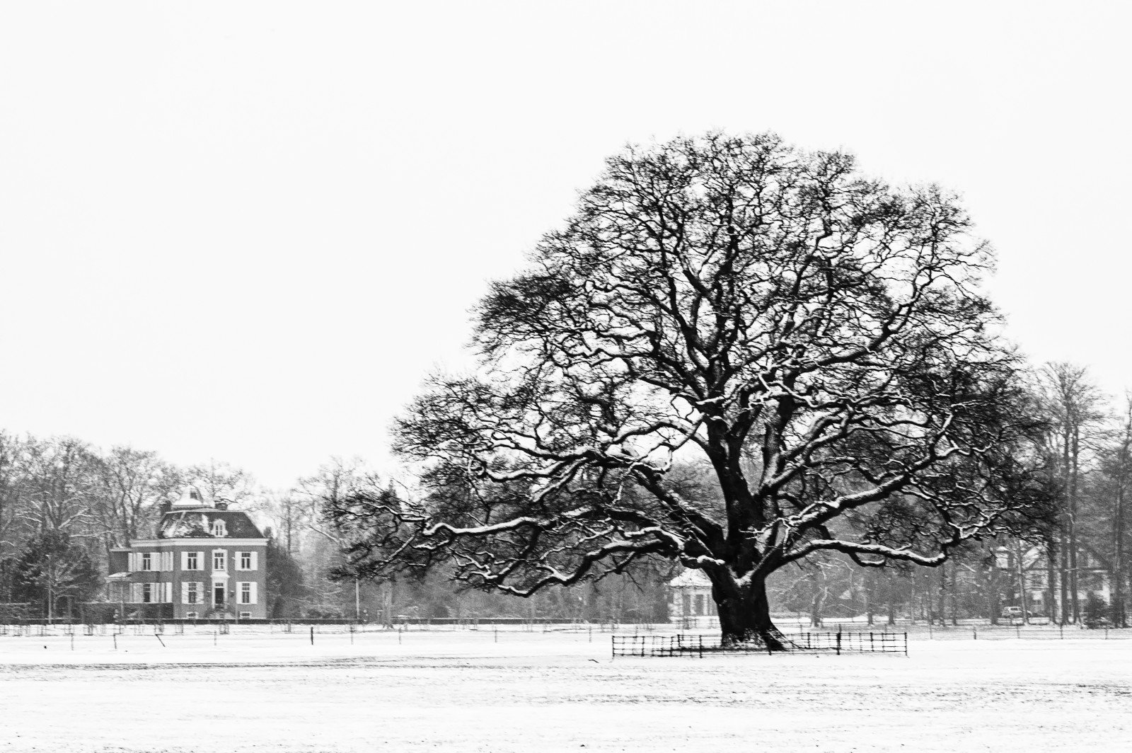 krajina, kontrast, černobílý, Příroda, budova, sníh, zima, větev, Dům, Nizozemí, Holandsko, 2017, Černý a bílý, strom, počasí, osamělý, rostlina, sezóna, tělesné, vila, s, spanderswoud, atmosférický jev, Černý a bílý, monochromatické fotografování, dřevina, hilverbeek, gravenland