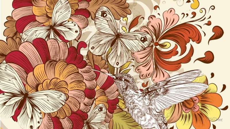 fluture,Texturi,1920x1080 px
