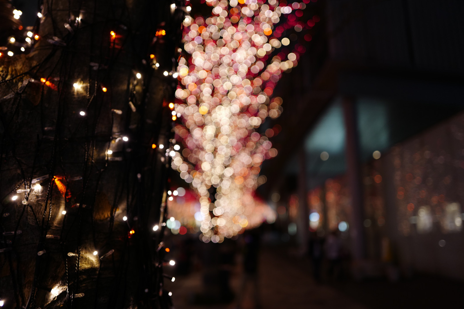 Japan, Nacht-, Weihnachten, Weihnachtsbeleuchtung, Leica, Tokio, Jp, Licht, Farbe, Blume, Beleuchtung, Keyakizaka, Summilux, Leicaq, Summilux1728, Q, 1728, Ropponngi, Weihnachtsdekoration